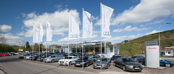 Aussenansicht Audi